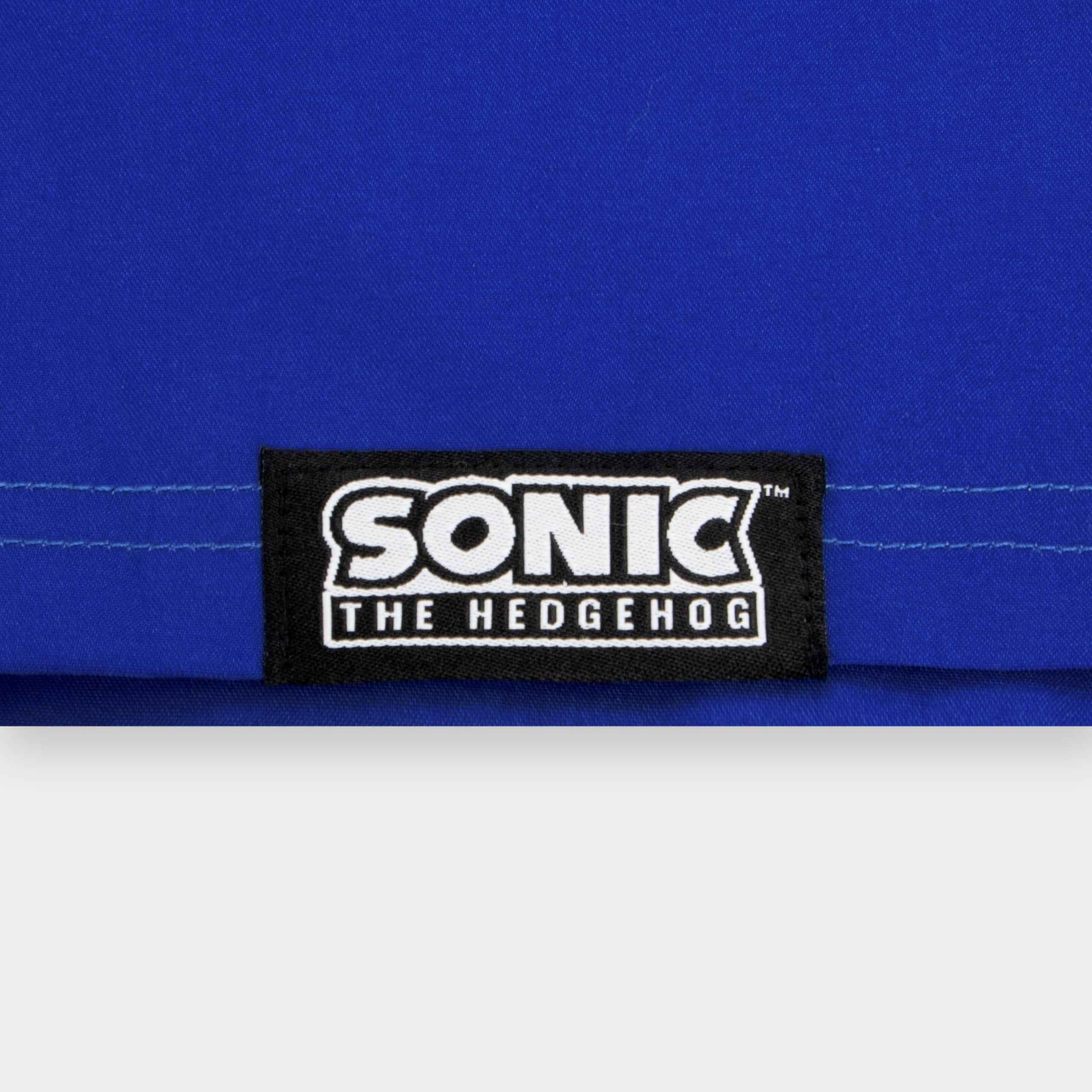 Sonic The Hedgehog Two Piece Swim Set