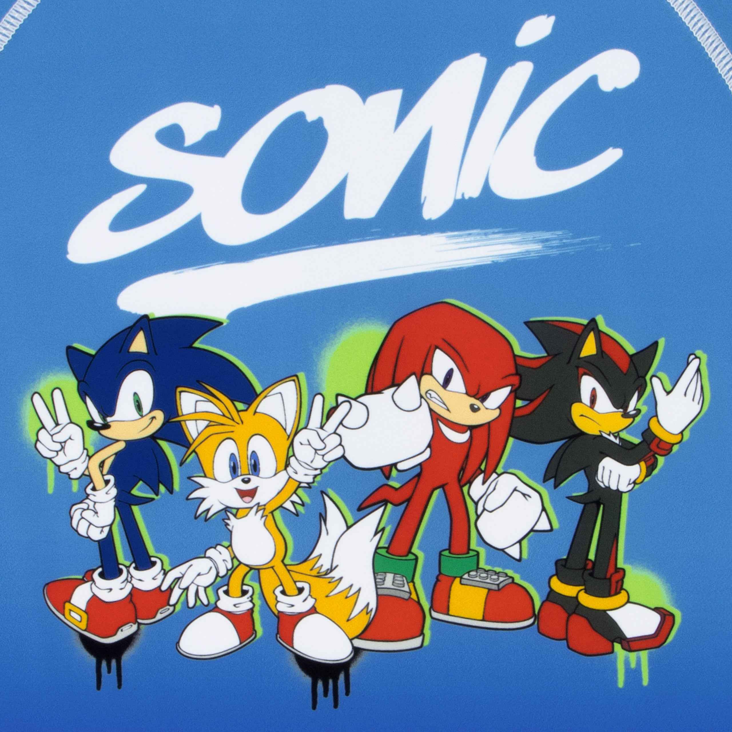 Sonic The Hedgehog Two Piece Swim Set