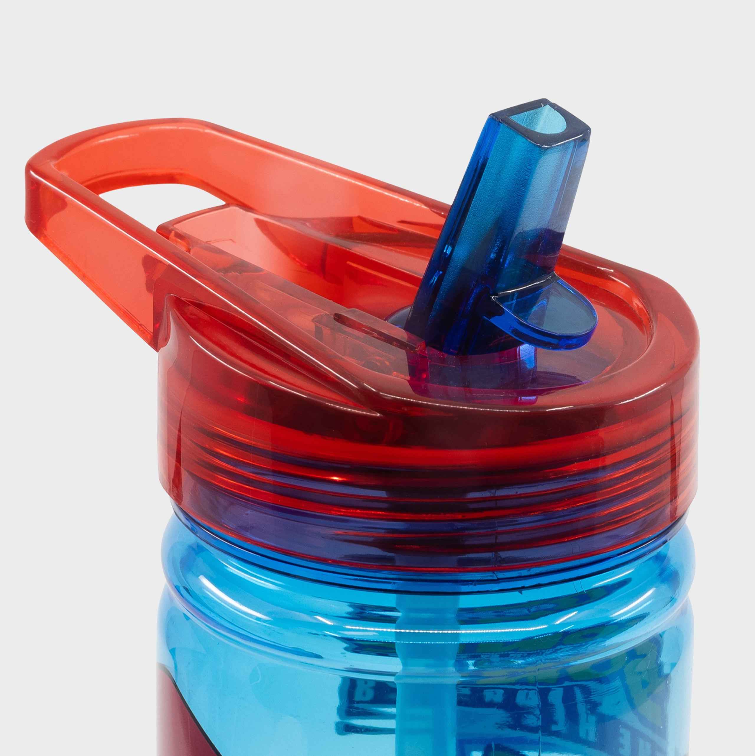 Sonic the Hedgehog Water Bottle
