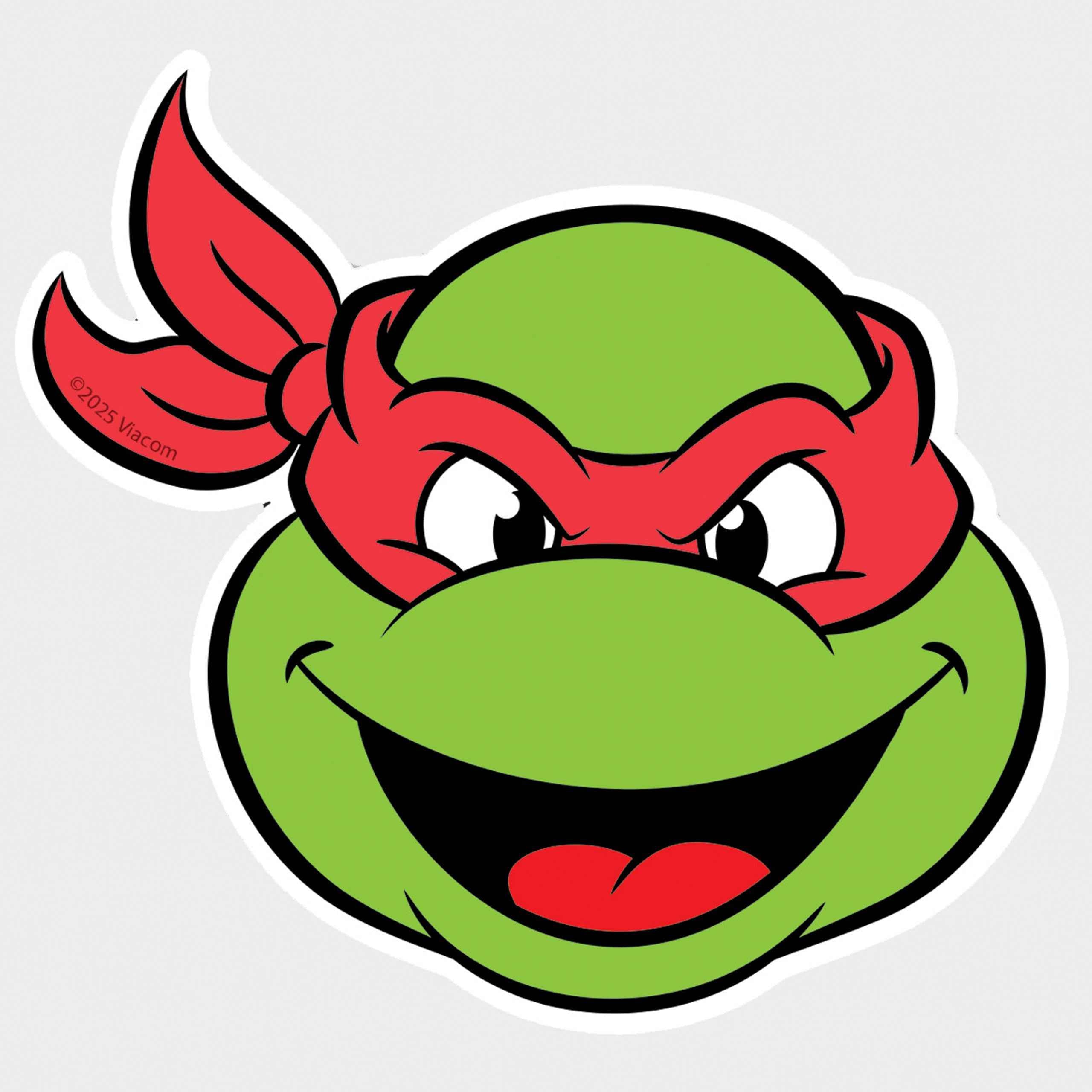 Teenage Mutant Ninja Turtles Gift Wrap And Tags