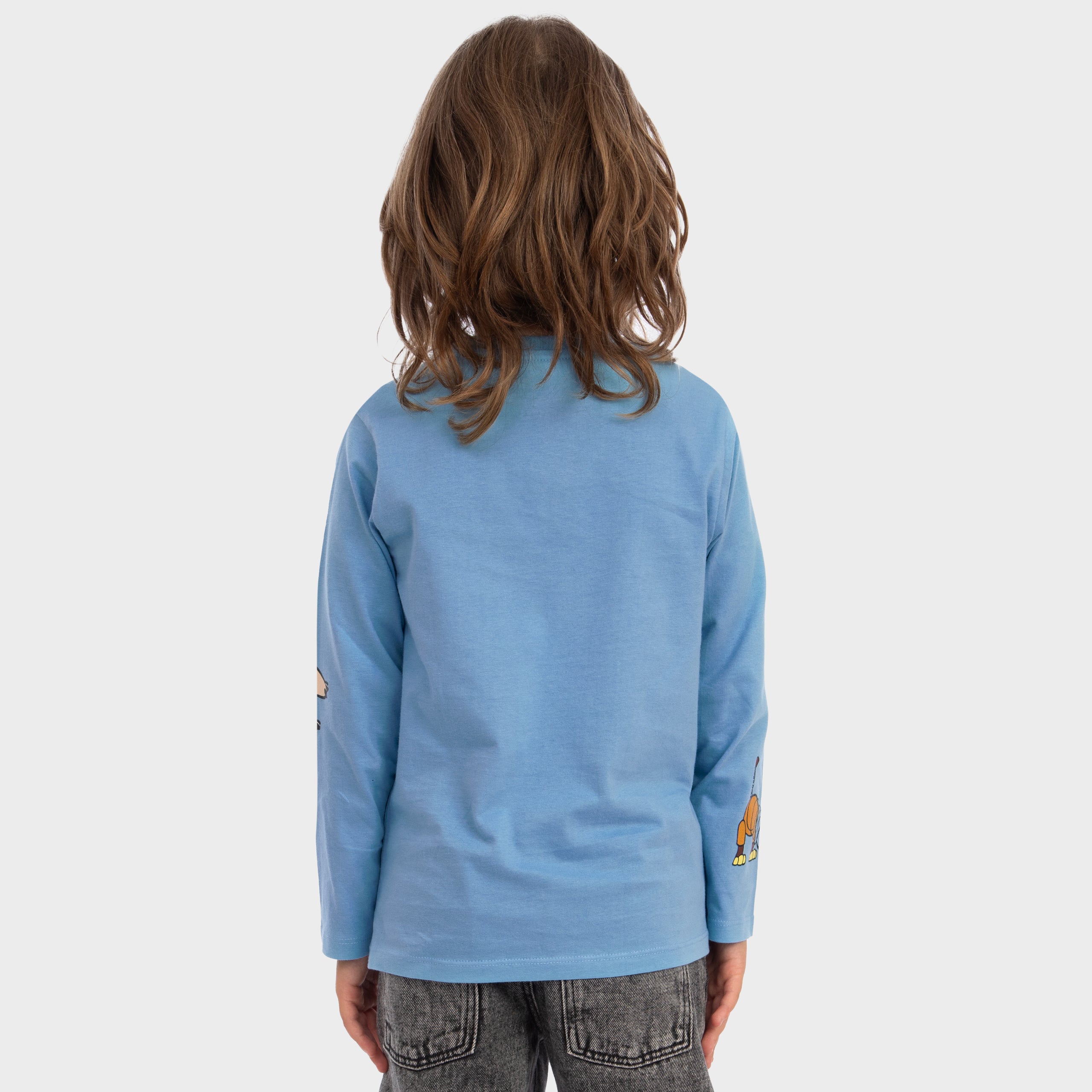 Disney Toy Story Woody & Friends Long Sleeve T-shirt