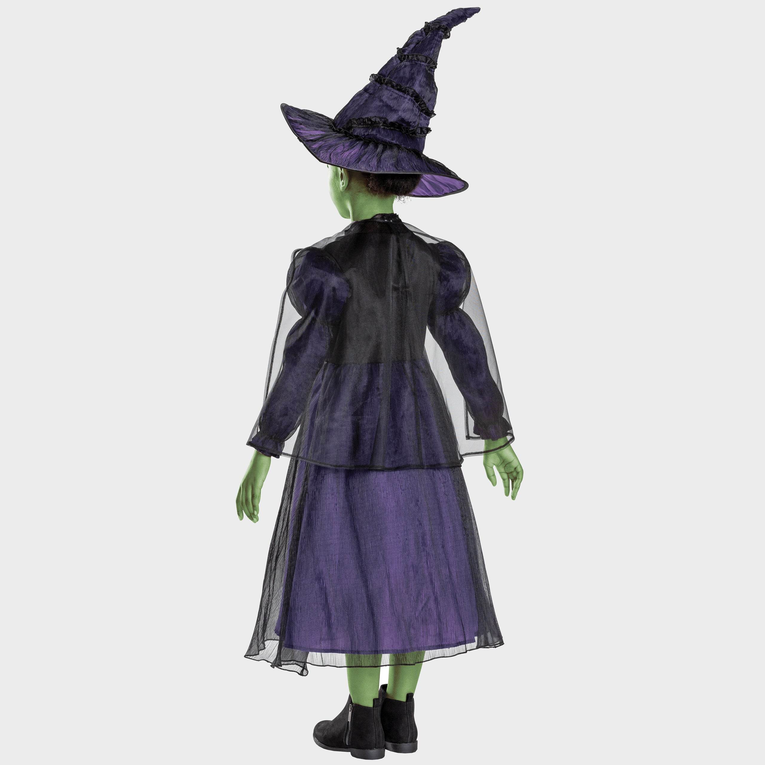 Wicked Elphaba Fancy Dress - Character.com
