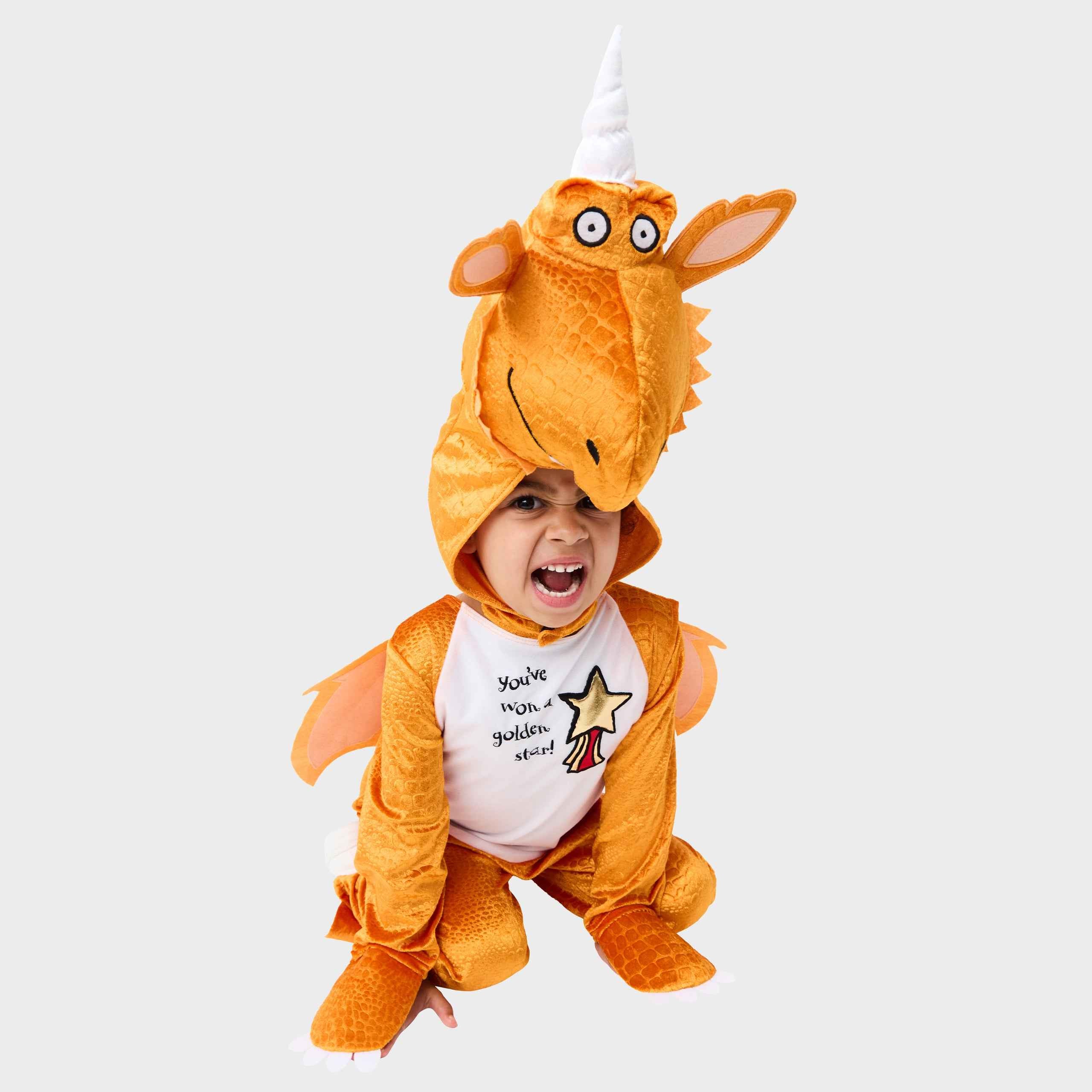 Zog Dress Up Costume