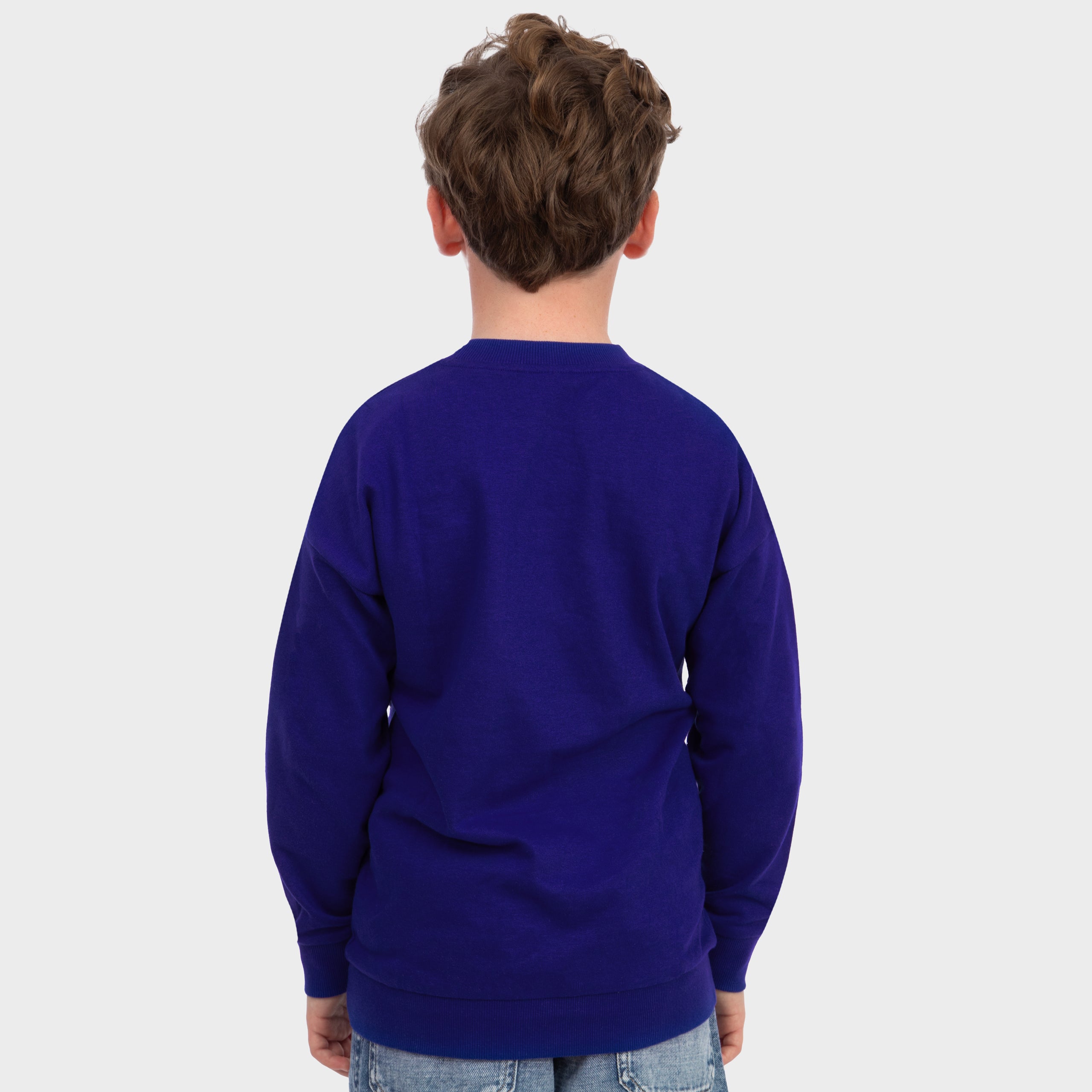 Disney Zootropolis Nick Wilde Sweatshirt