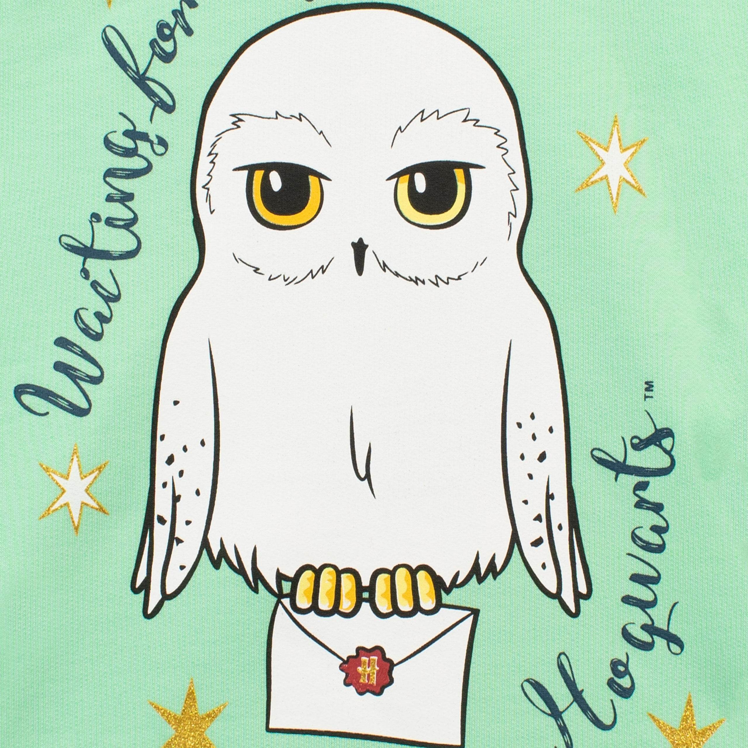 Harry Potter Hoodie Hedwig